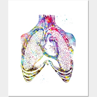 Human heart and lungs Posters and Art